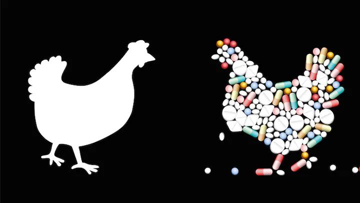 Antibiotic Growth Promoters