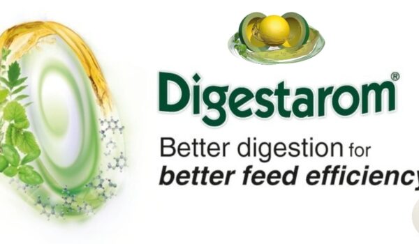 Digestarom