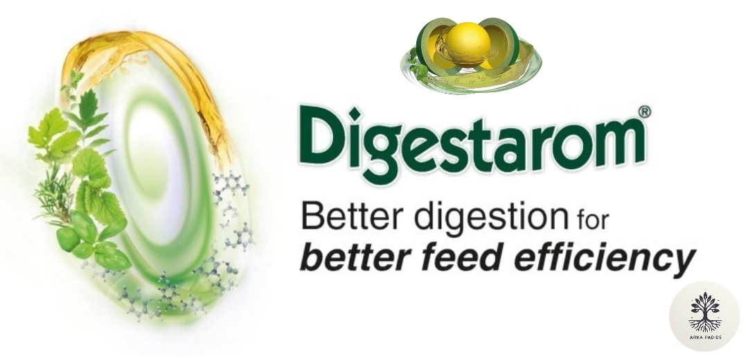 Digestarom