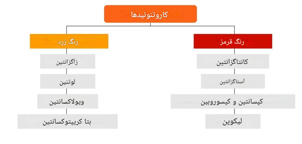 کارتنوئیدها گروهی از رنگدانه‌های طبیعی هستند که به دو دسته اصلی تقسیم می‌شوند: